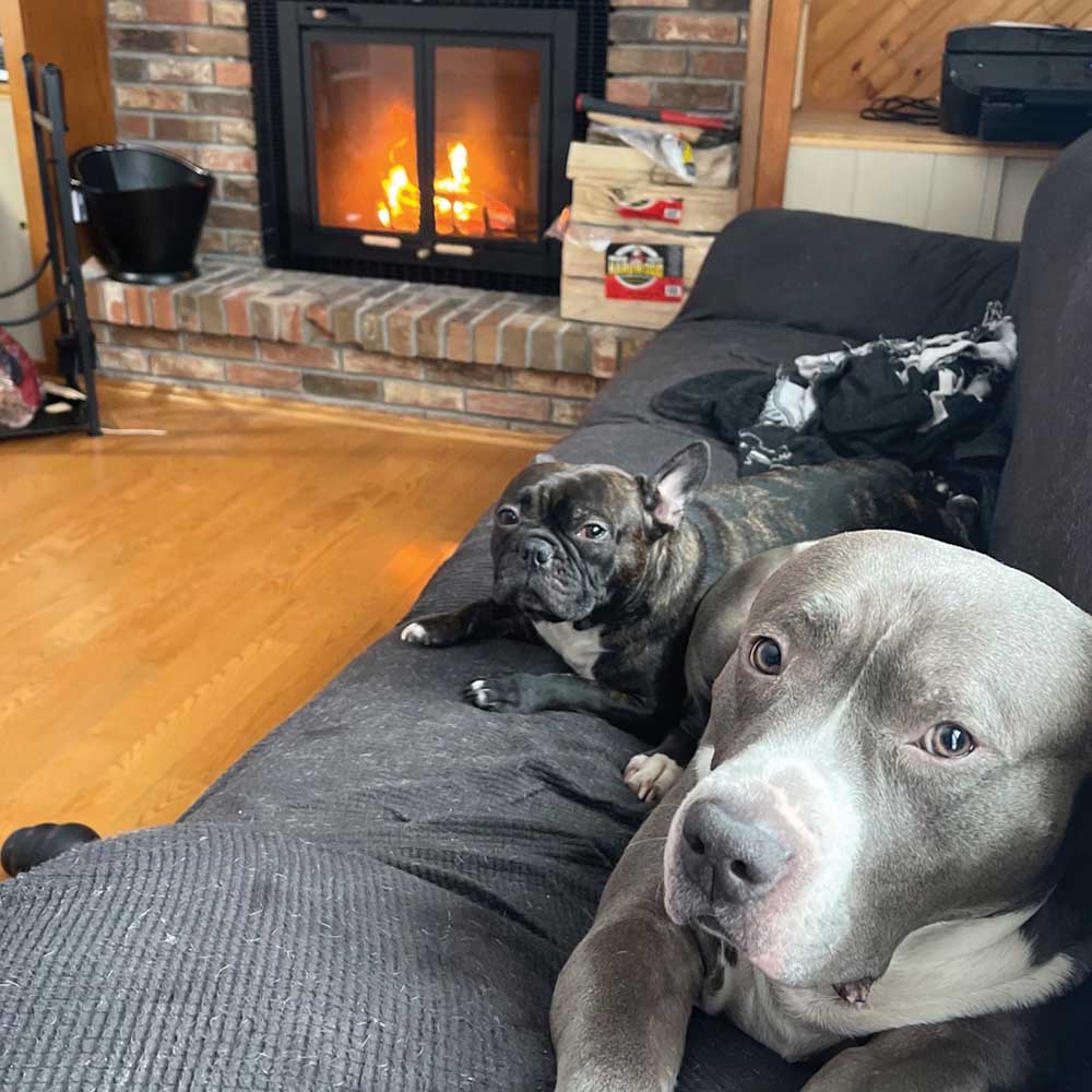 fireplace with dogs